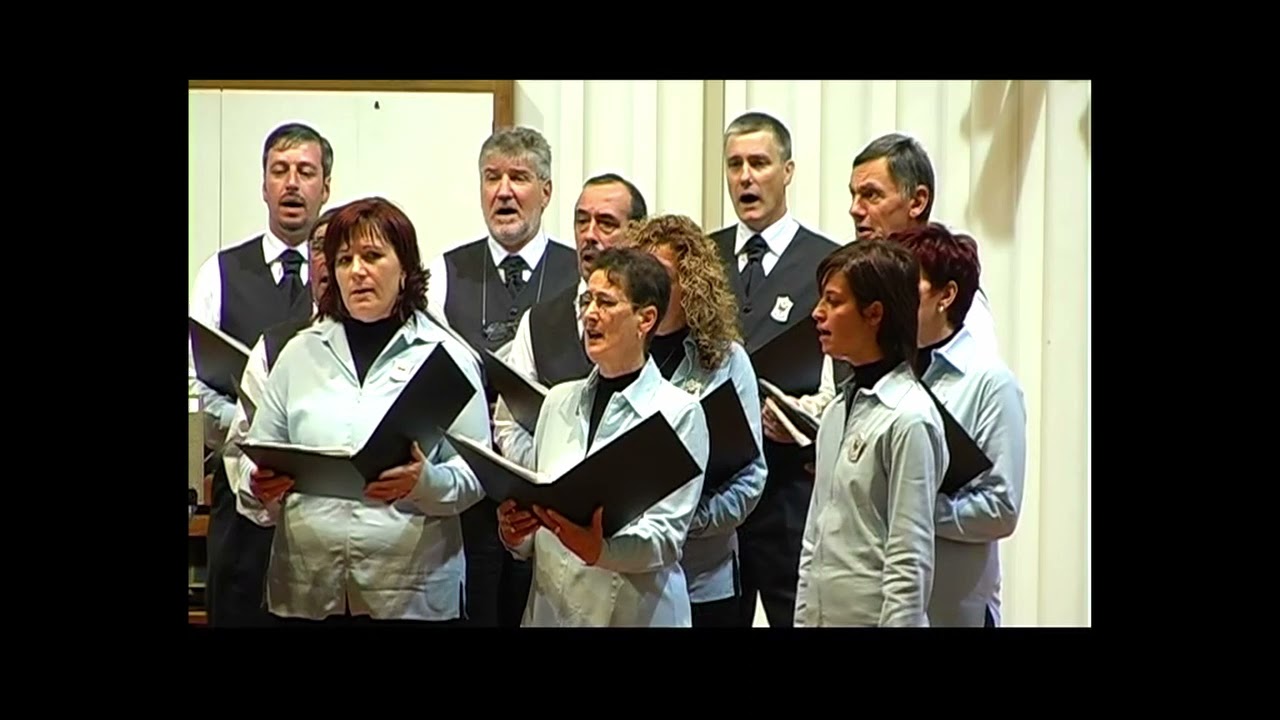 Italy | Friuli Venezia Giulia | San Daniele del Friuli (UD) | Coro Vôs de Vilegnove