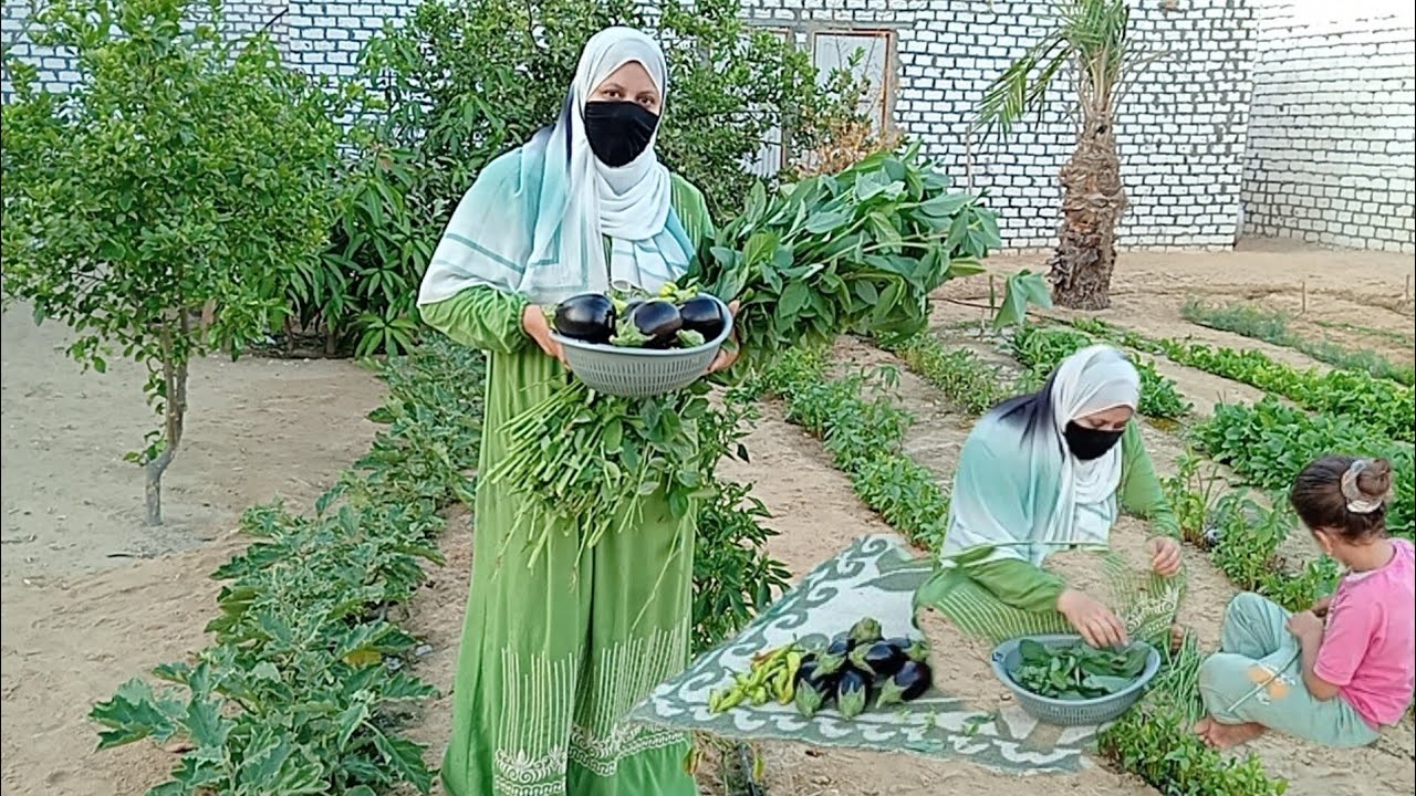 اول محصول من مزرعتي 😍 في البيت وربنا كرمنا بخير كثير 🌿