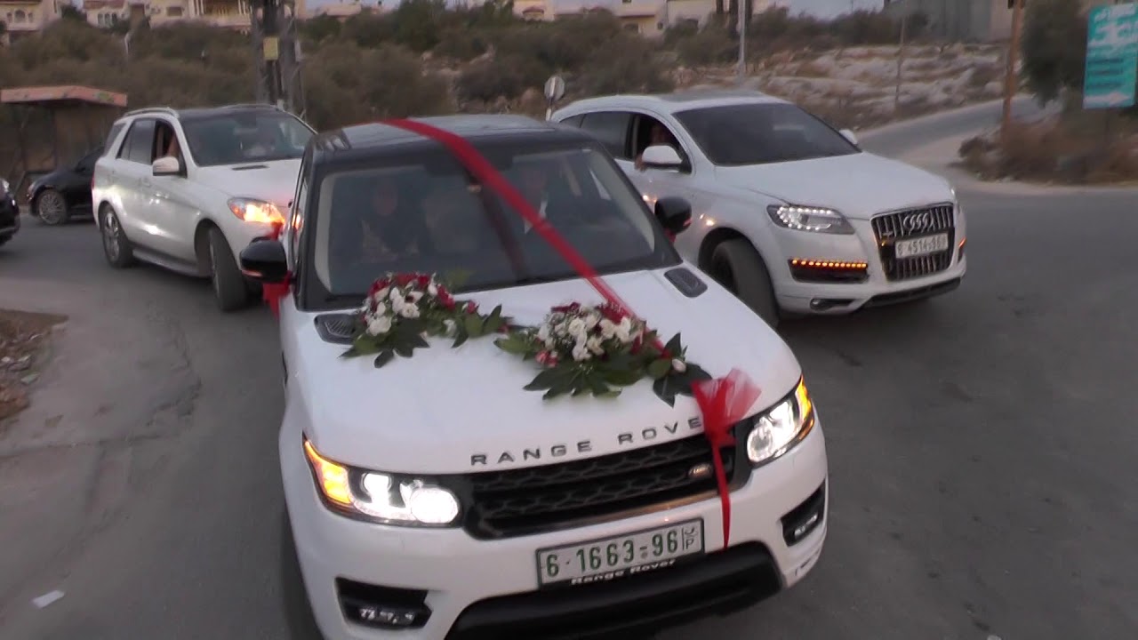 زفة محمود عطا الله القط