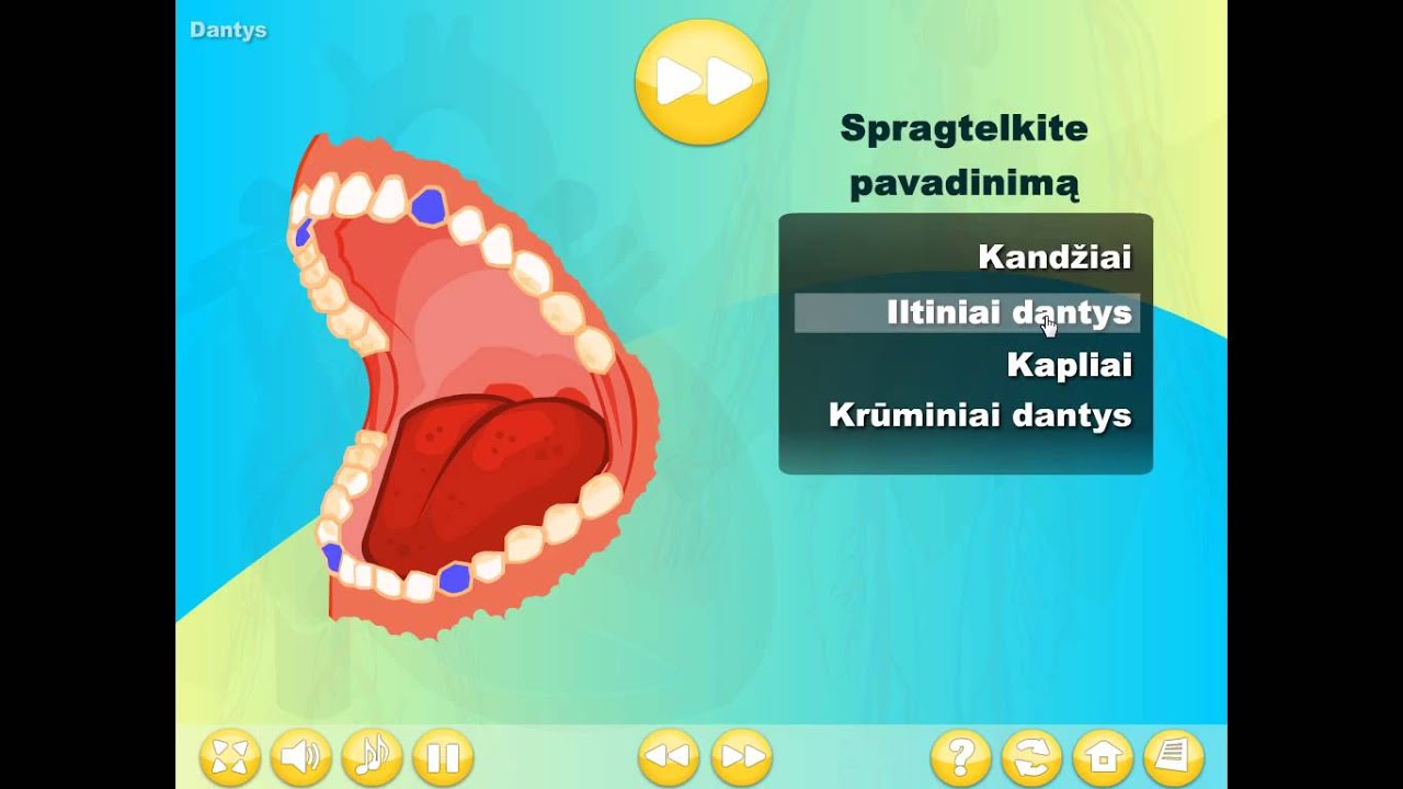 Virškinimas