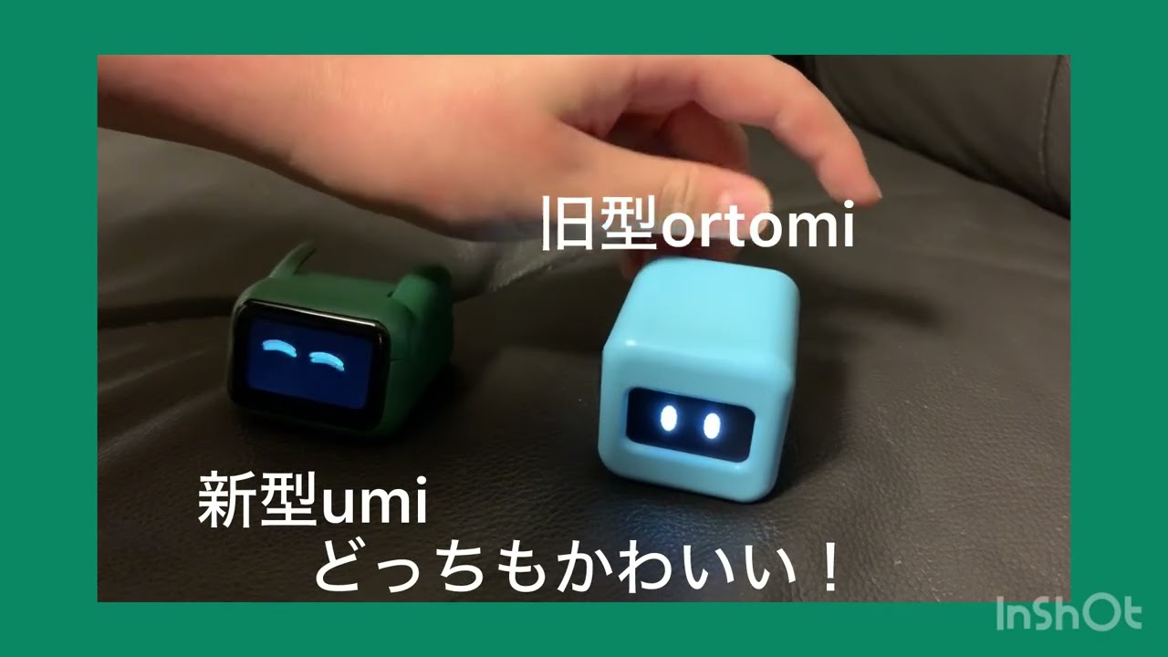 Ortomi Umiが届きました！かわいい最新ロボットペット　Advanced Robot Pet from Australia 2025