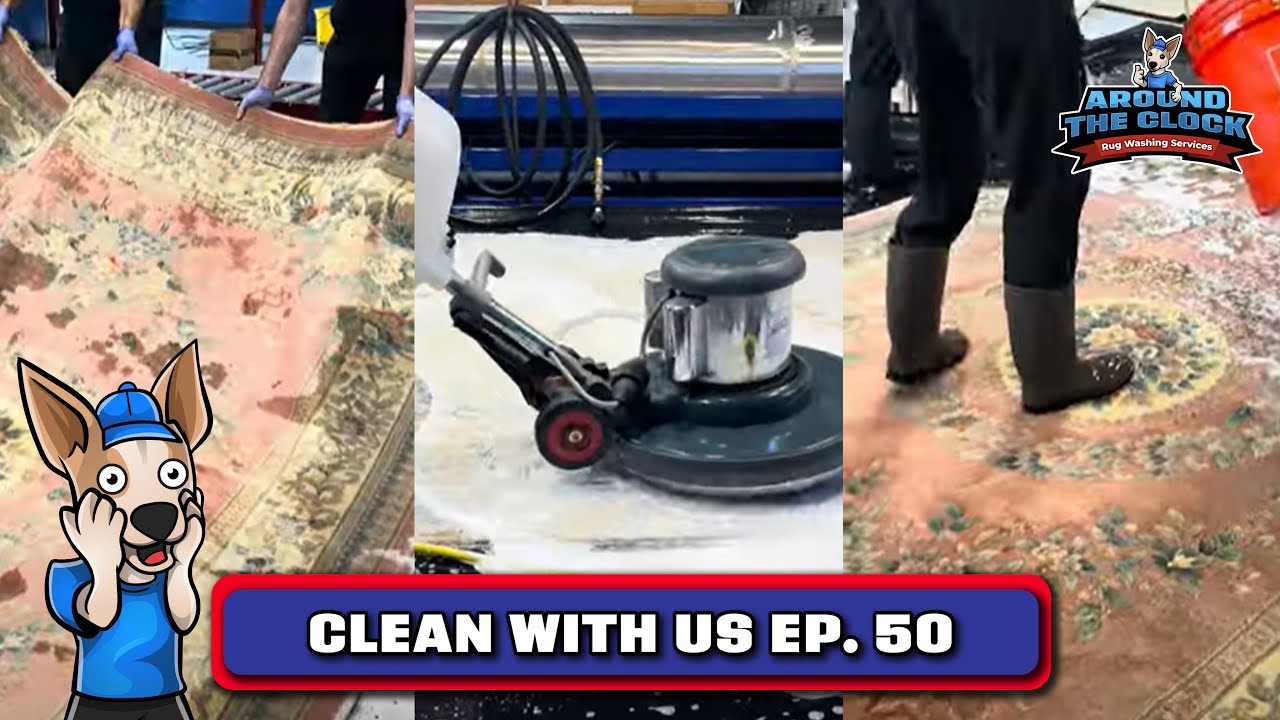 CLEANING 6 Chinese Wool Rugs | Come Clean With Us Ep. 50
