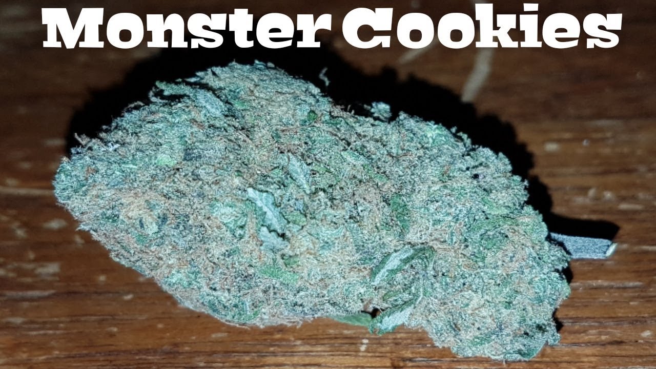 Обзор штамма - Monster Cookies