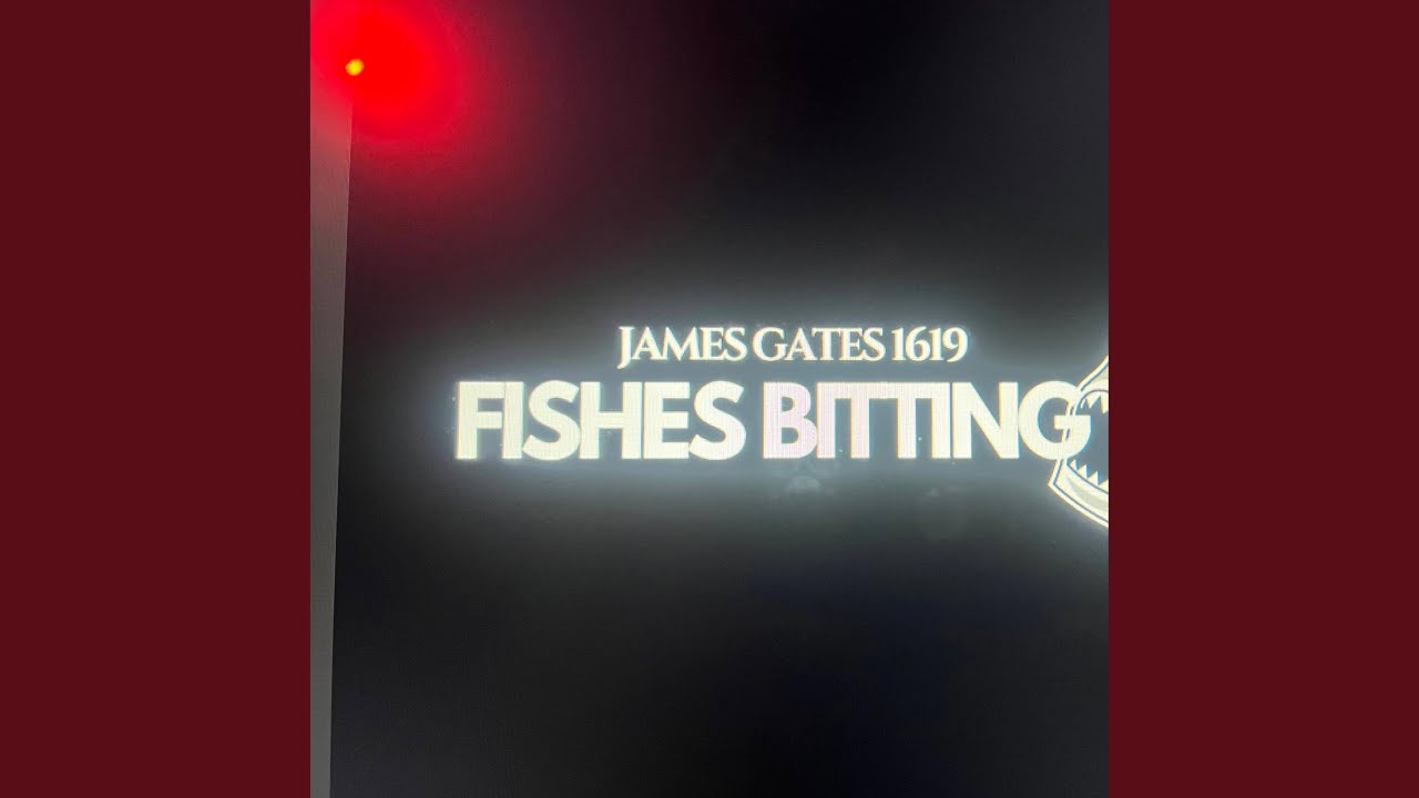 Fishes biting