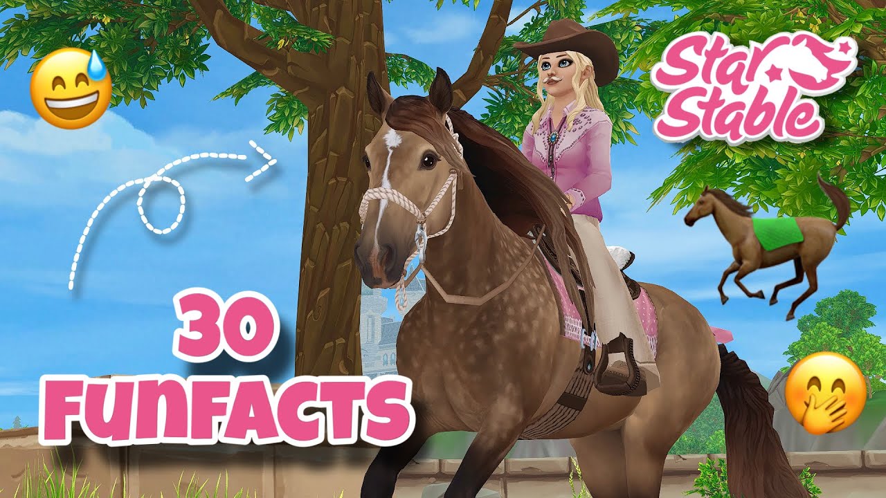 30 FunFacts über mich!😱 // Star Stable Leveltime🐎