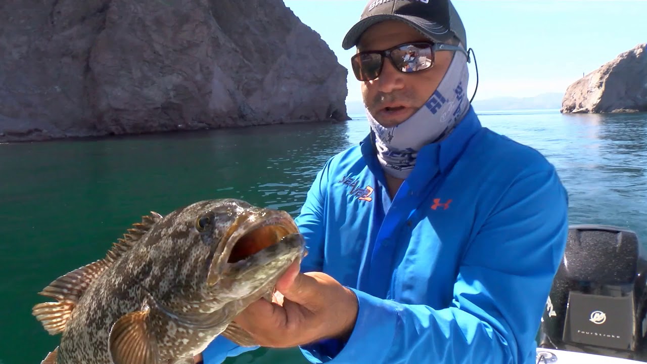 Season 3 | Episode 11 | Sea of Cortez Grouper 311