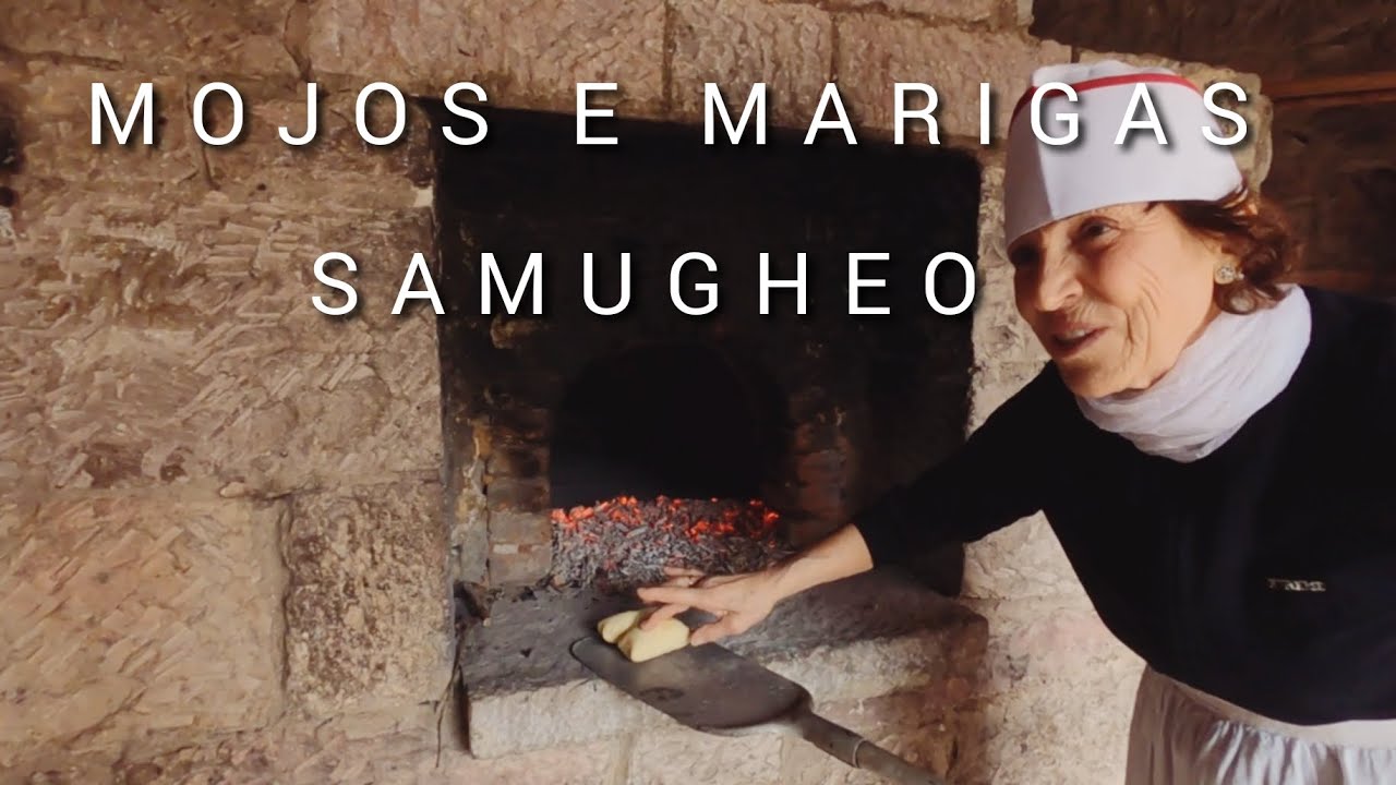 MOJOS E MARIGAS 