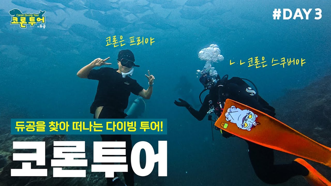 이번엔 난파선 포인트? 꿀잼 다이빙 투어는 이제 시작! l 코론 다이빙투어 3화