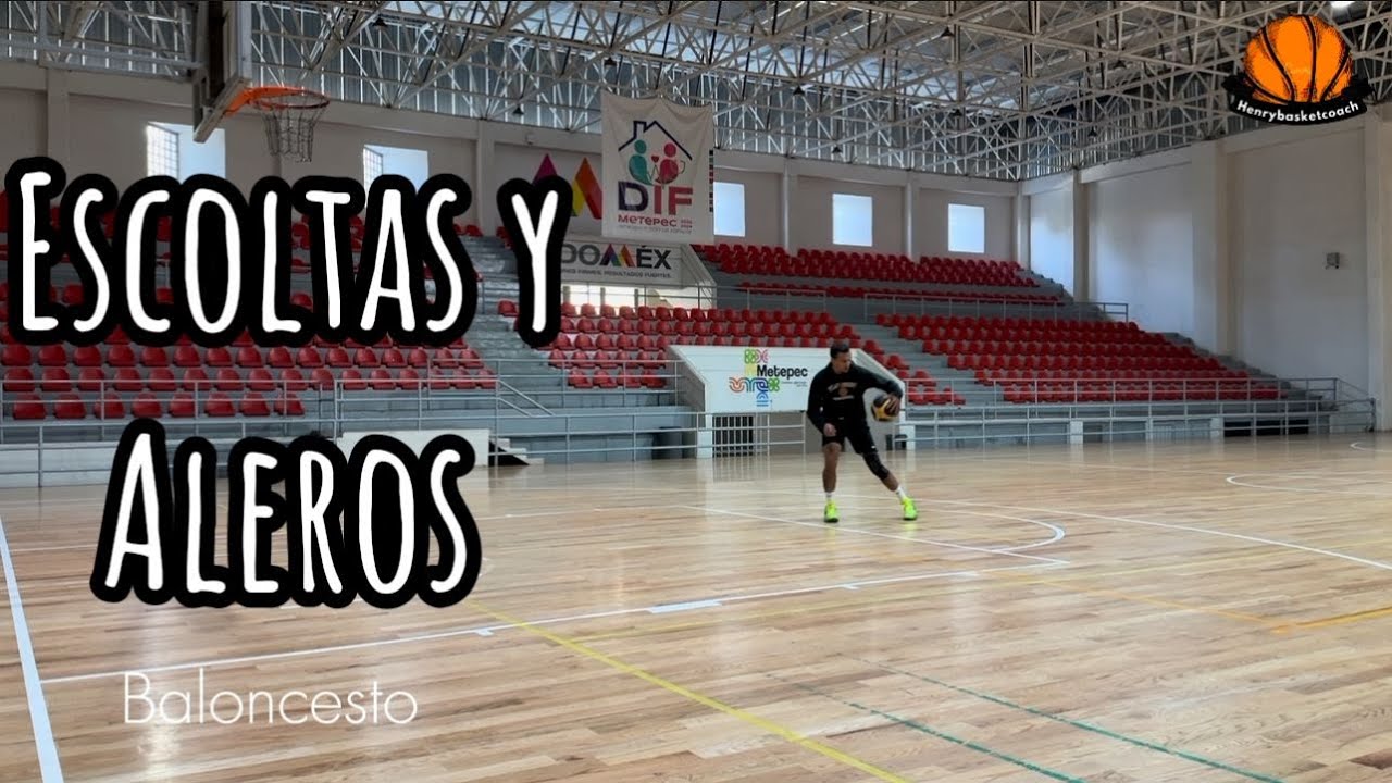Entrenamiento completo para ESCOLTAS y ALEROS (ELITE) Definiciones y anotaciones | BALONCESTO