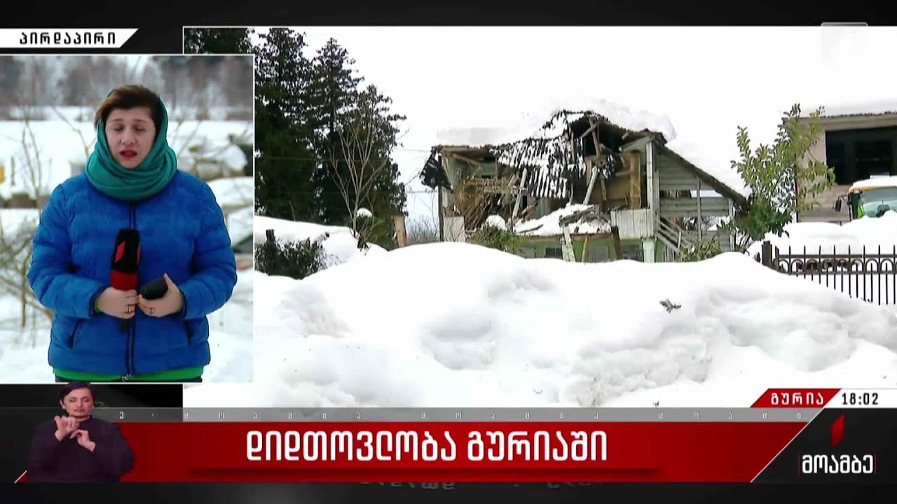 დიდთოვლობა გურიაში - თეა აბსარიძის პირდაპირი ჩართვა