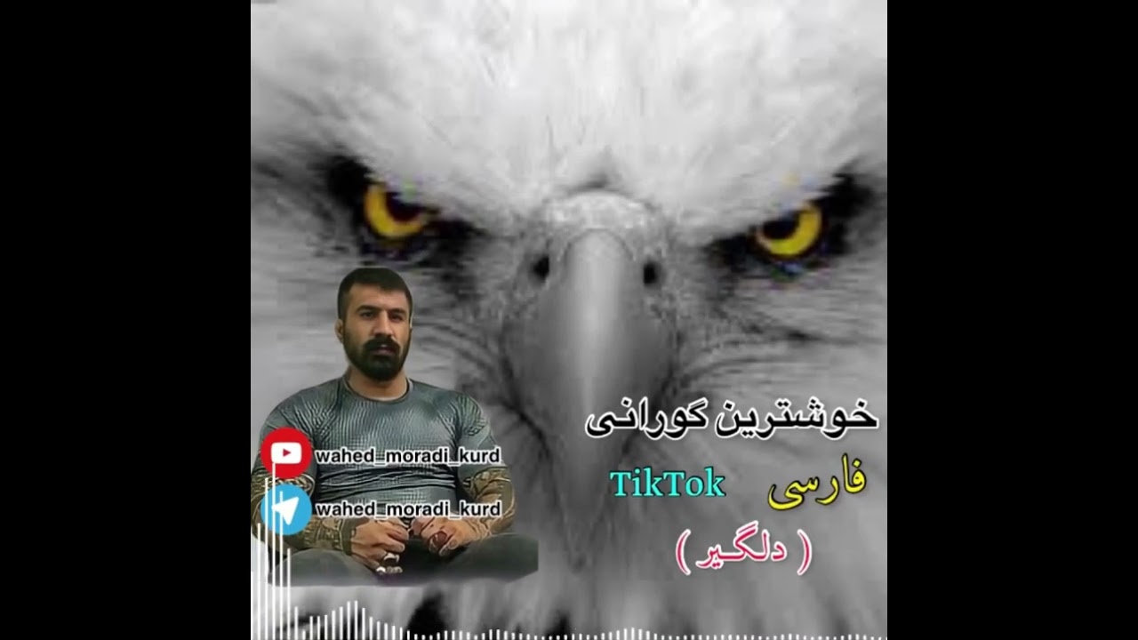 خوشترين گورانى فارسى وحيد مرادي كرد :#آهنگ #جديد #شاد #مازندران #وحيد_مرادي #مازندرانی