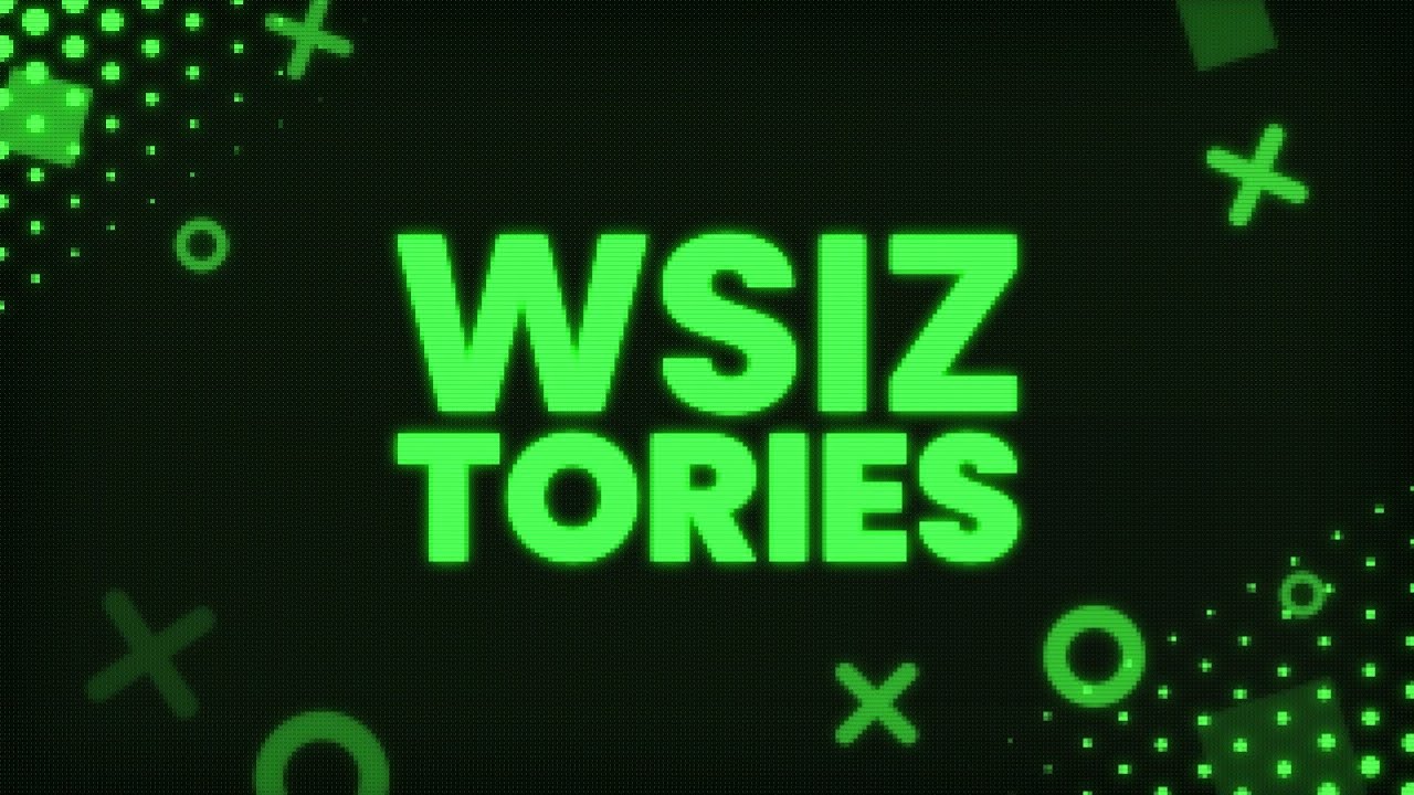 WSIZTORIES - zawód programista