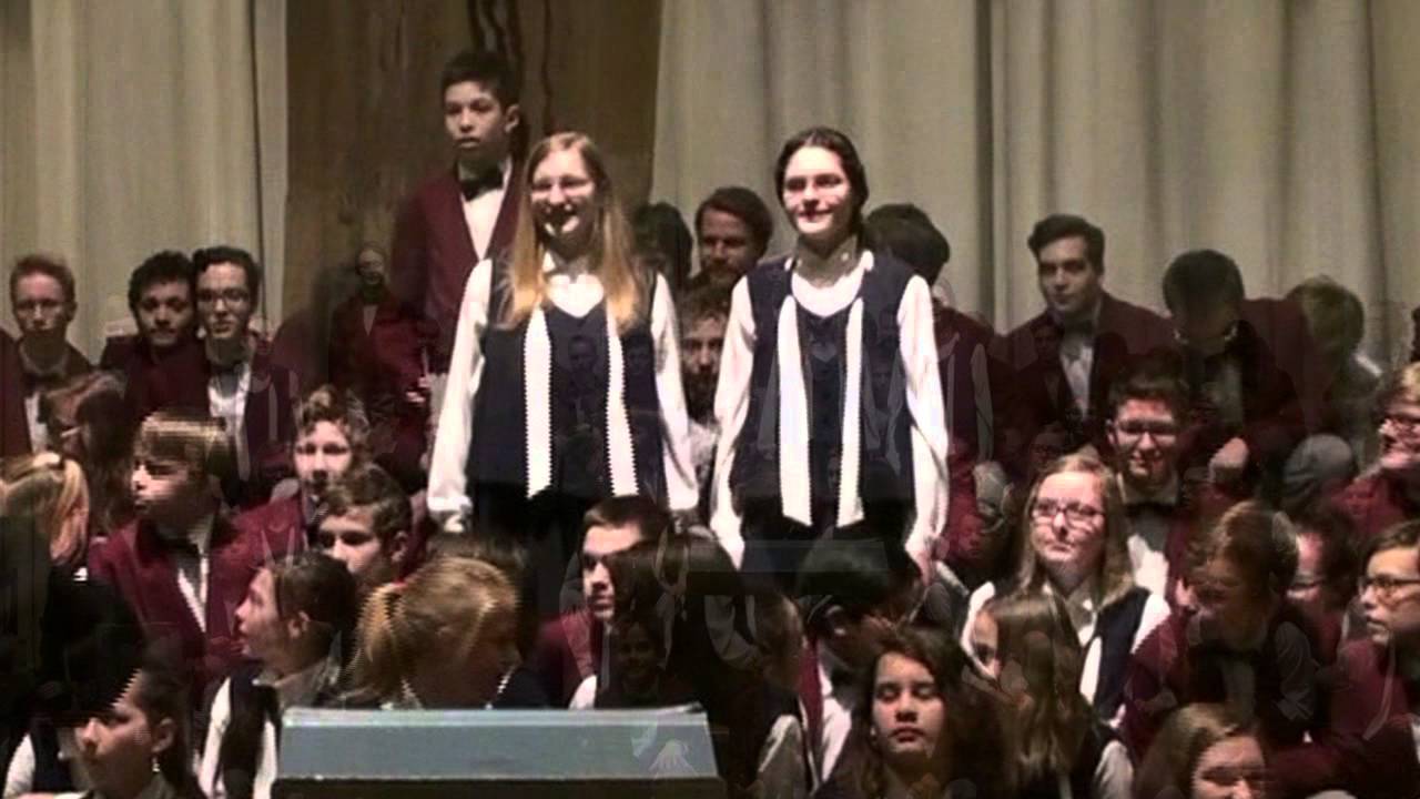 Ptačí koncert (Jurkovič)