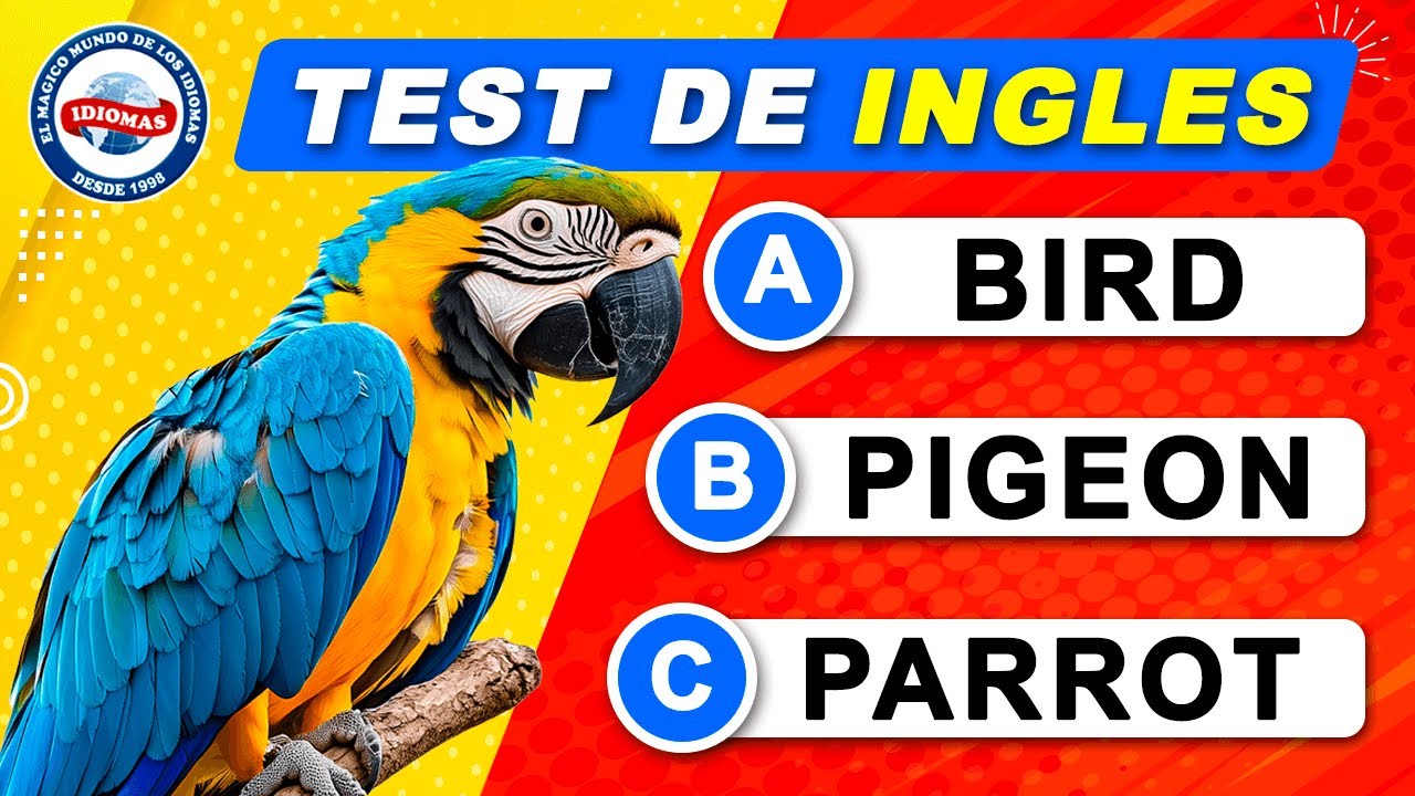 📢 TEST DE INGLES vol. 01, 👉 adivina 100 palabras básicas en INGLES.
