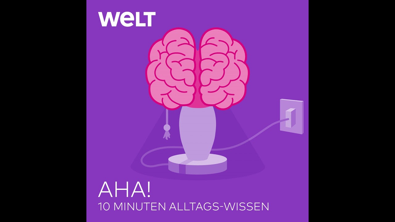 Albern und unvernünftig – was ist in der Pubertät im Gehirn los?