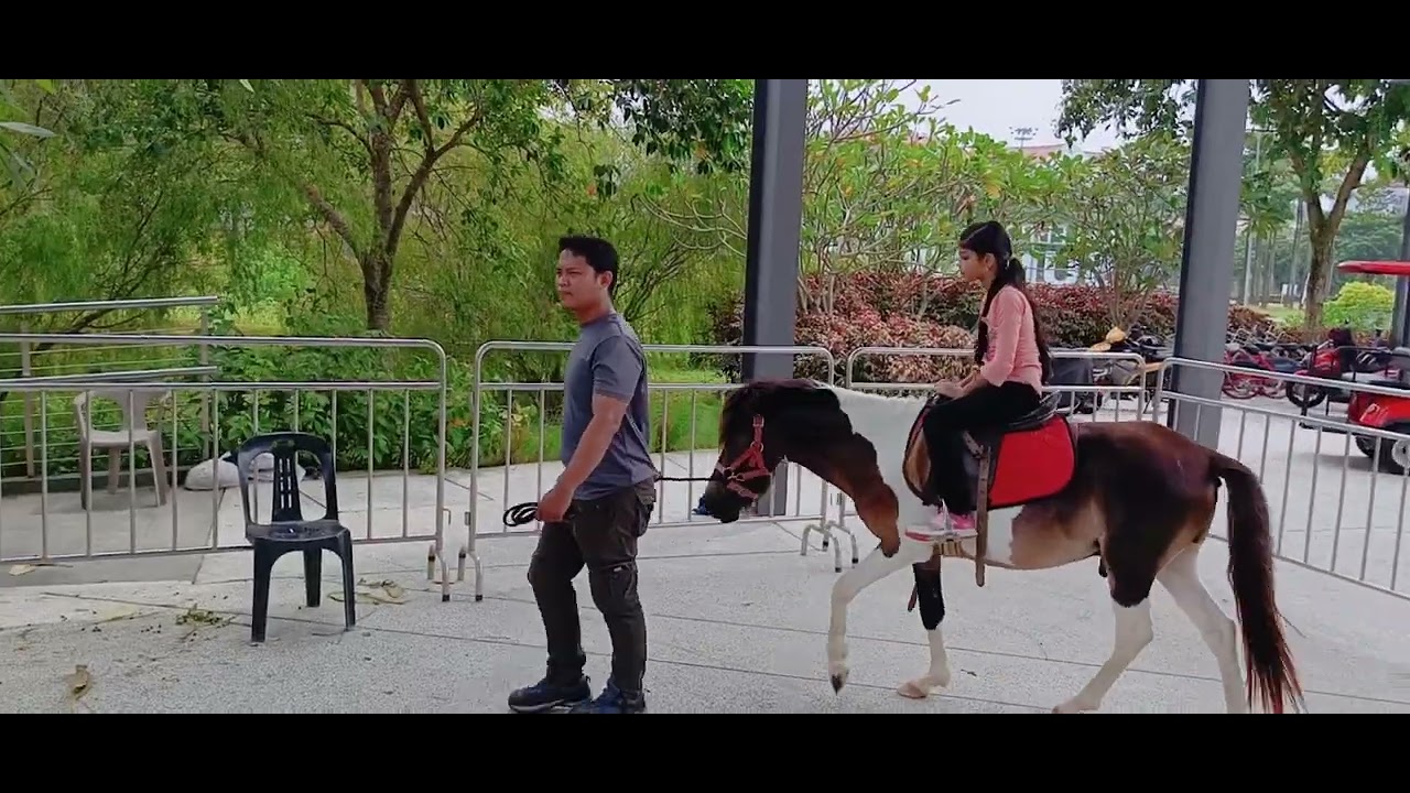 #pony #ponyride