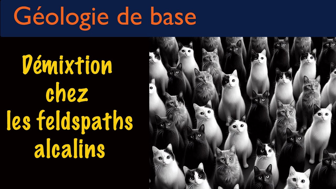Démixtion chez les feldspaths alcalins