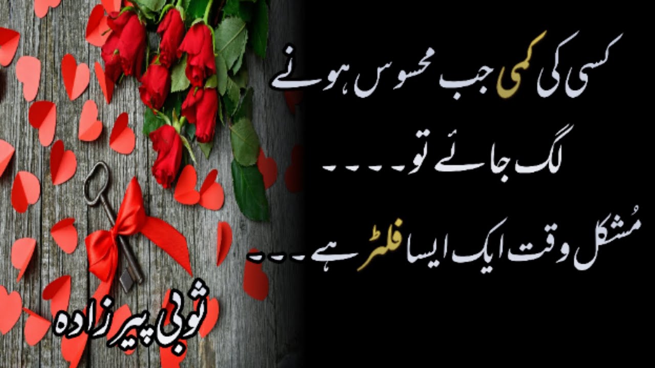 Powerful life lesson quotes UrduHindi| Love yourself| Brilliant Quotes| Sobi Peerzada
