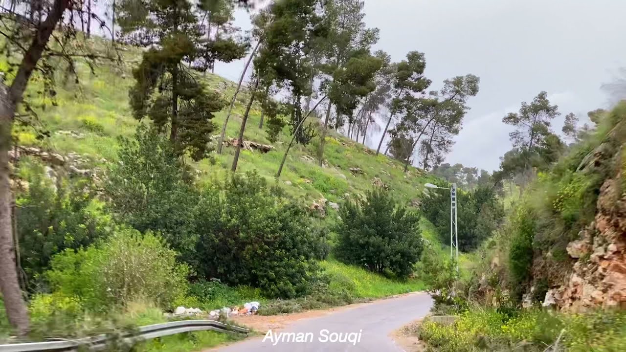 قرية طلوزة / نابلس Palestine