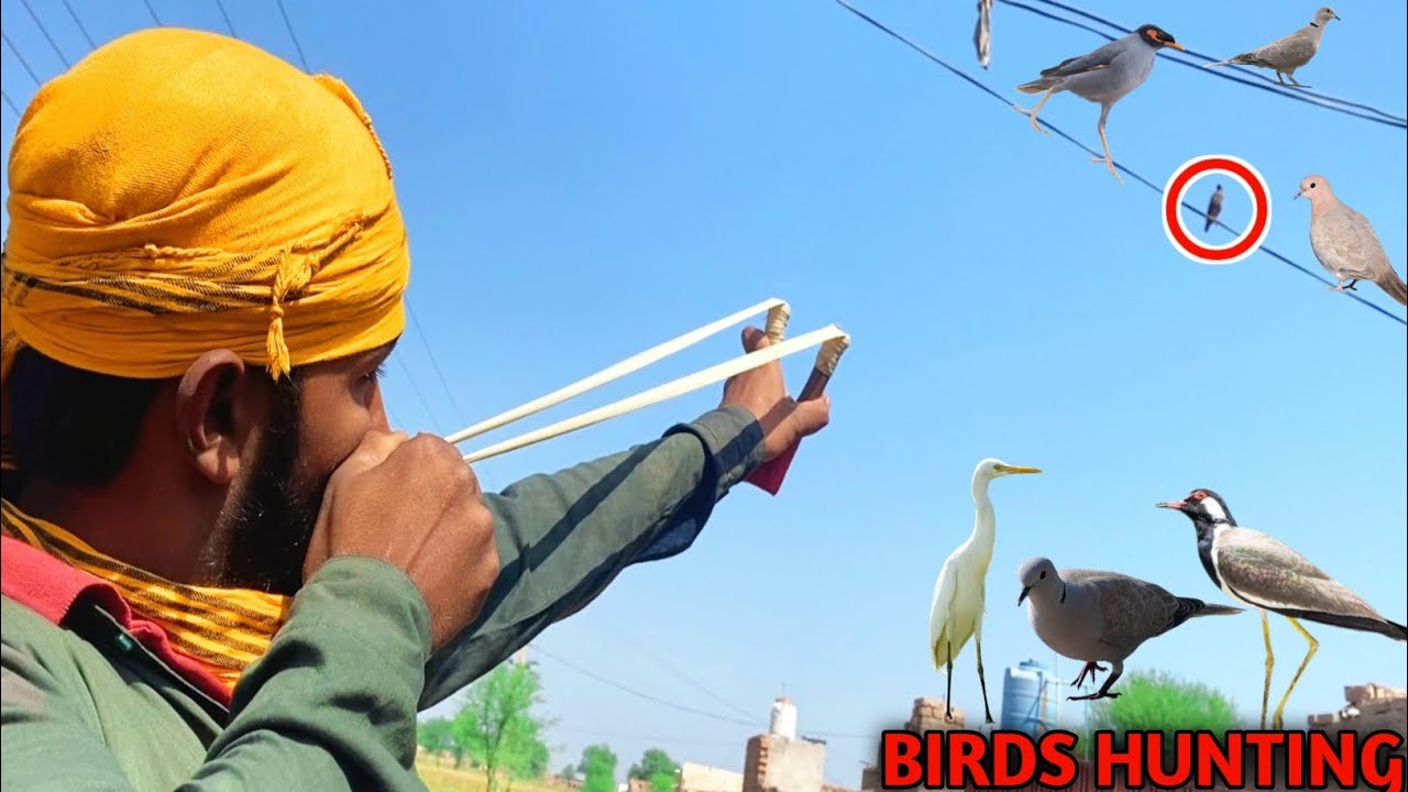 BEST BIRDS HUNTING WITH HANDMADE SLINGSHOT!