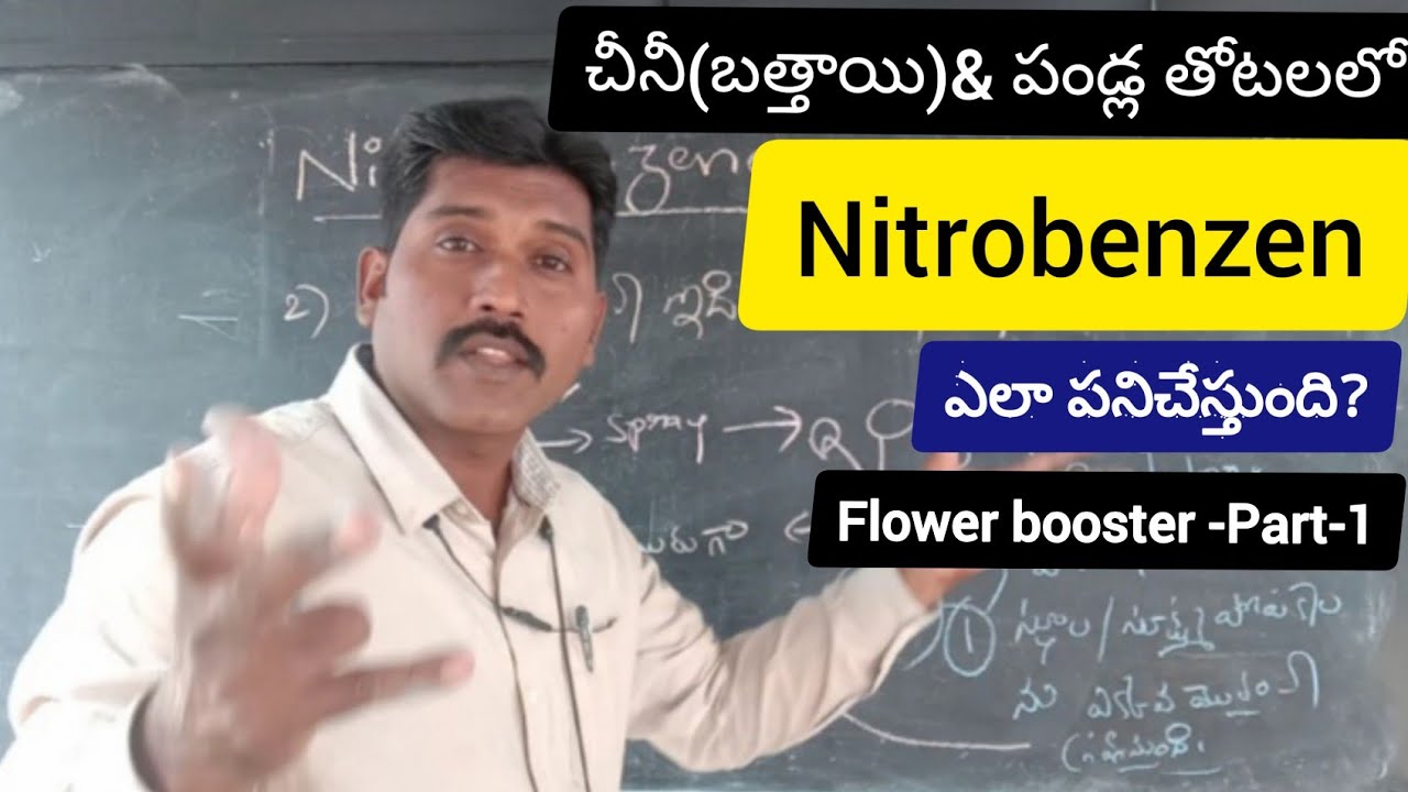 చీనీ(బత్తాయి)&పండ్ల తోటలలో Nitrobenzen-ఎలా పనిచేస్తుంది?Part-1.