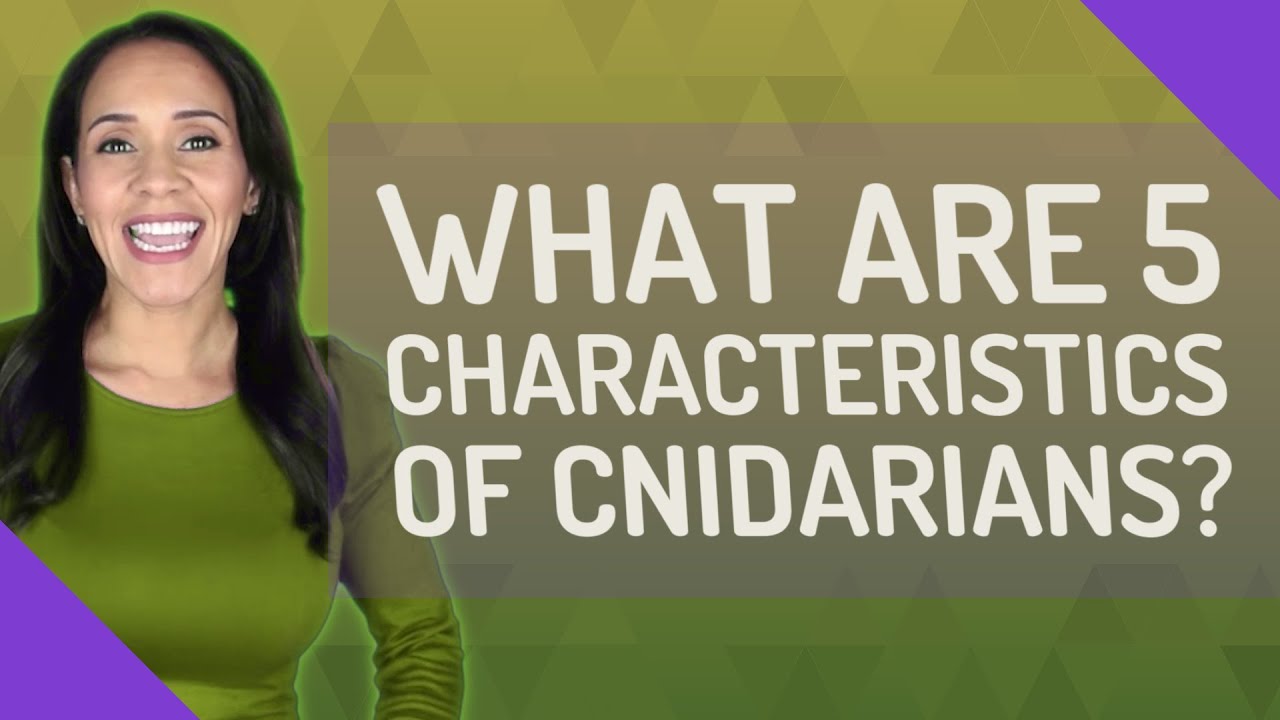 What are 5 characteristics of cnidarians?