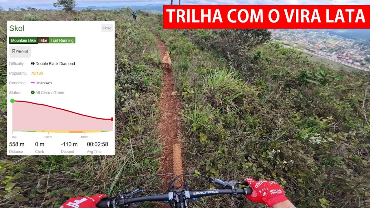 Vira lata na trilha - Skol