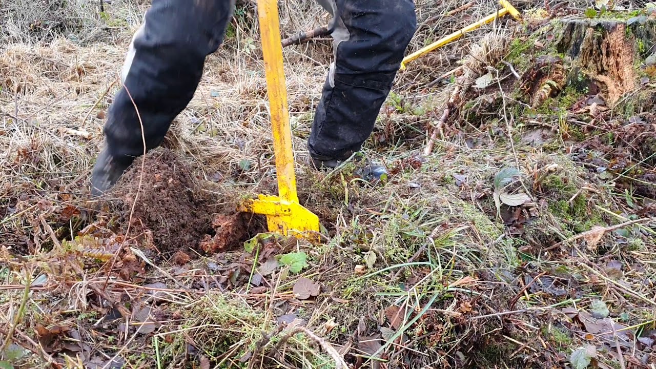 PLANTEM® SPEAR - Specialist Tree Planting Spade