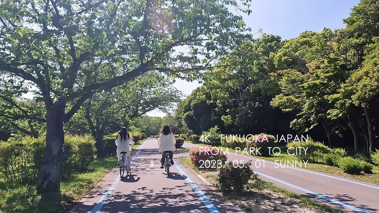 4K Japan Cycling サイクリング - 1 hour 80s Japanese City Pop mix シティポップ Cycling through Fukuoka 福岡を自転車で走る