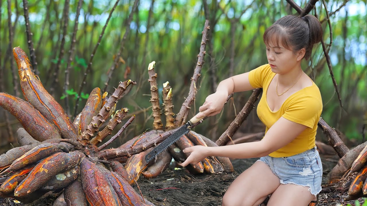 Harvesting Big Sweet Potato Goes To The Market Sell, Farm Life - Cooking Potatoes