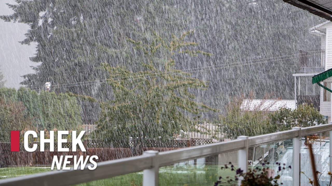 Hail falls on parts of Vancouver Island | CHEK News