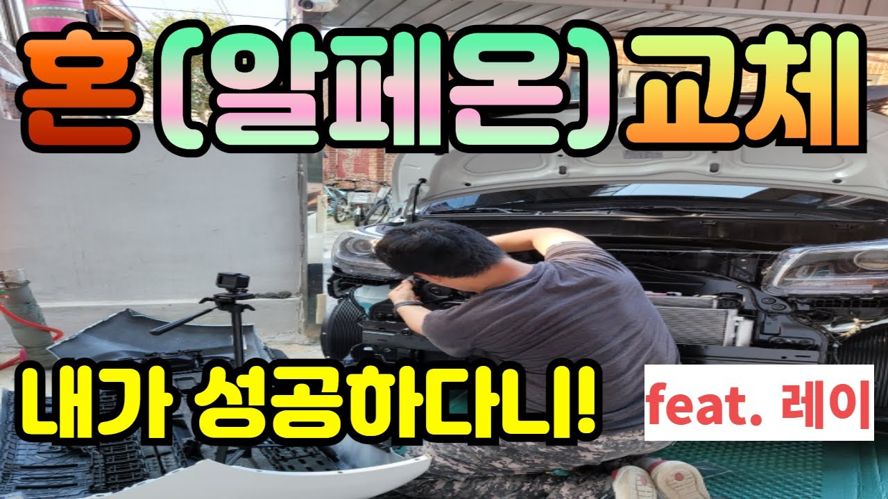 자동차 혼 DIY(알페온)교체(레이혼,경음기,크락션장착,알페온혼)
