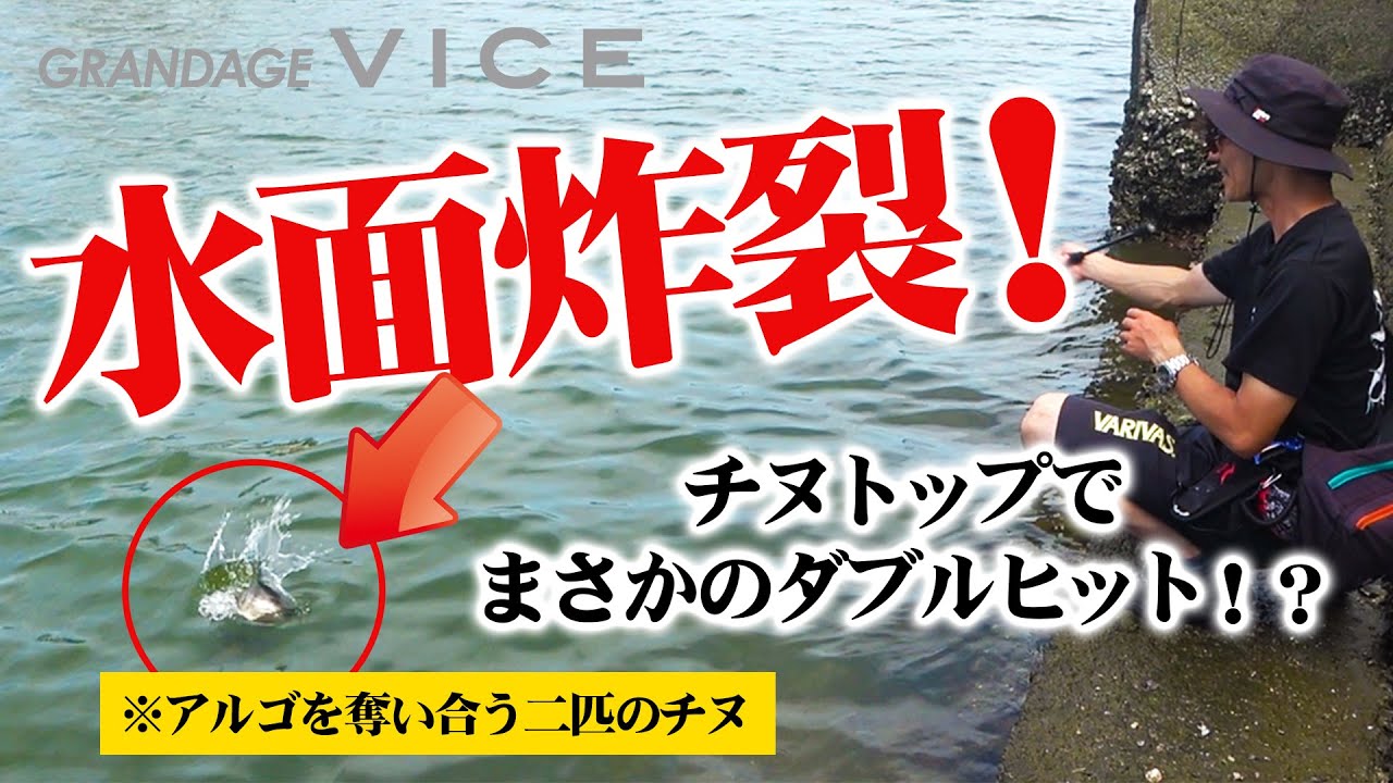 【水面炸裂！　チヌトップでまさかのダブルヒット！？】　ルアーを奪い合うクロダイたち…