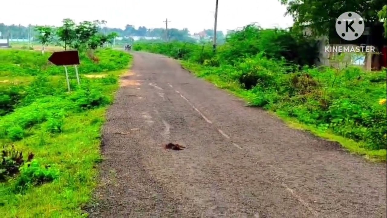 திருநெல்வேலிஸ்ரீவைகுண்டம் கருங்குளம்அருகில் 6 ஏக்கர் வீட்டு மனை நிலம் விற்பனைக்கு 1 ஏக்கர் 17 லட்சம்
