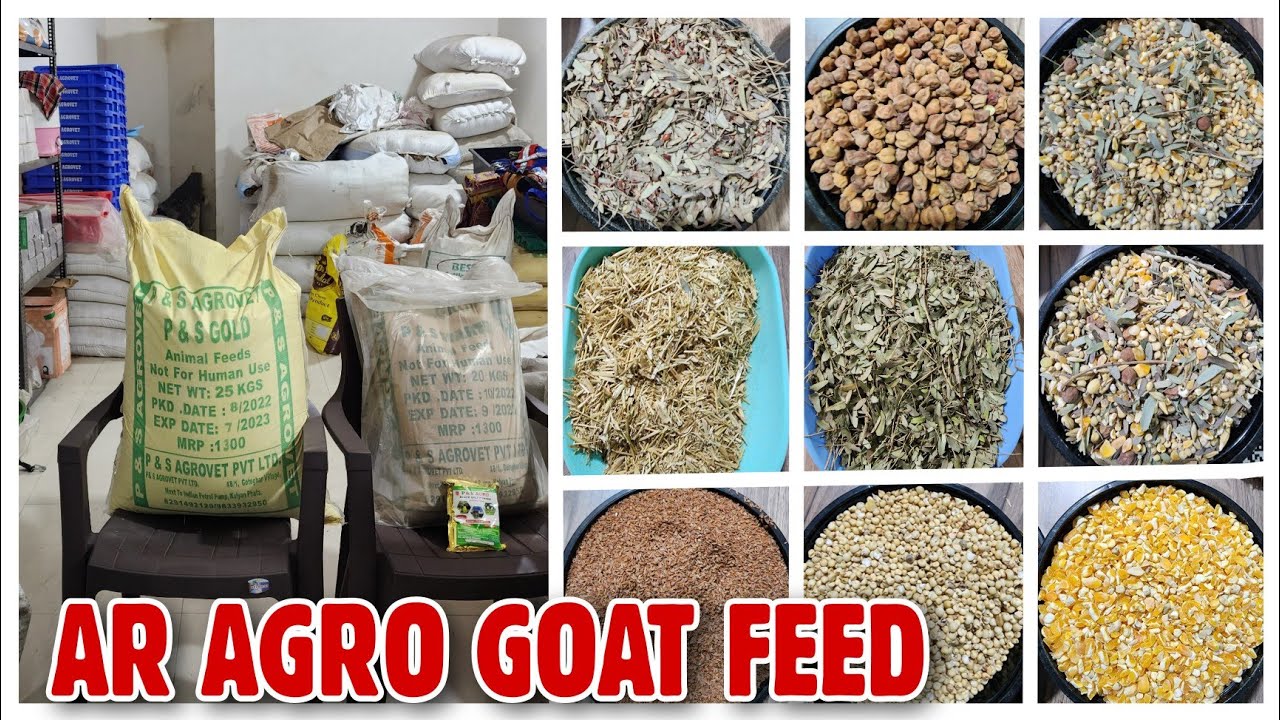 AR AGRO GOAT FEED Bakro Ko Kya Khilana Chahiye | Bakro Ka Dana In Bhiwandi |@Rizwankranti
