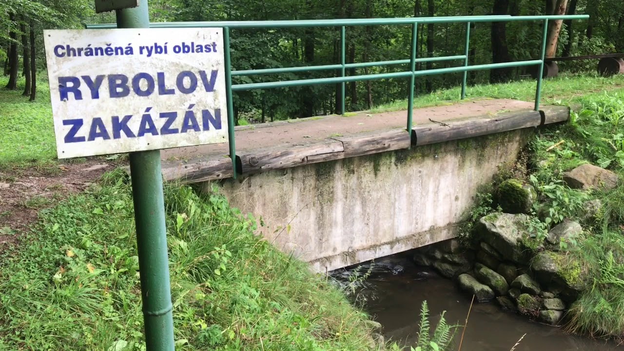 Prahování Sněžného potoka