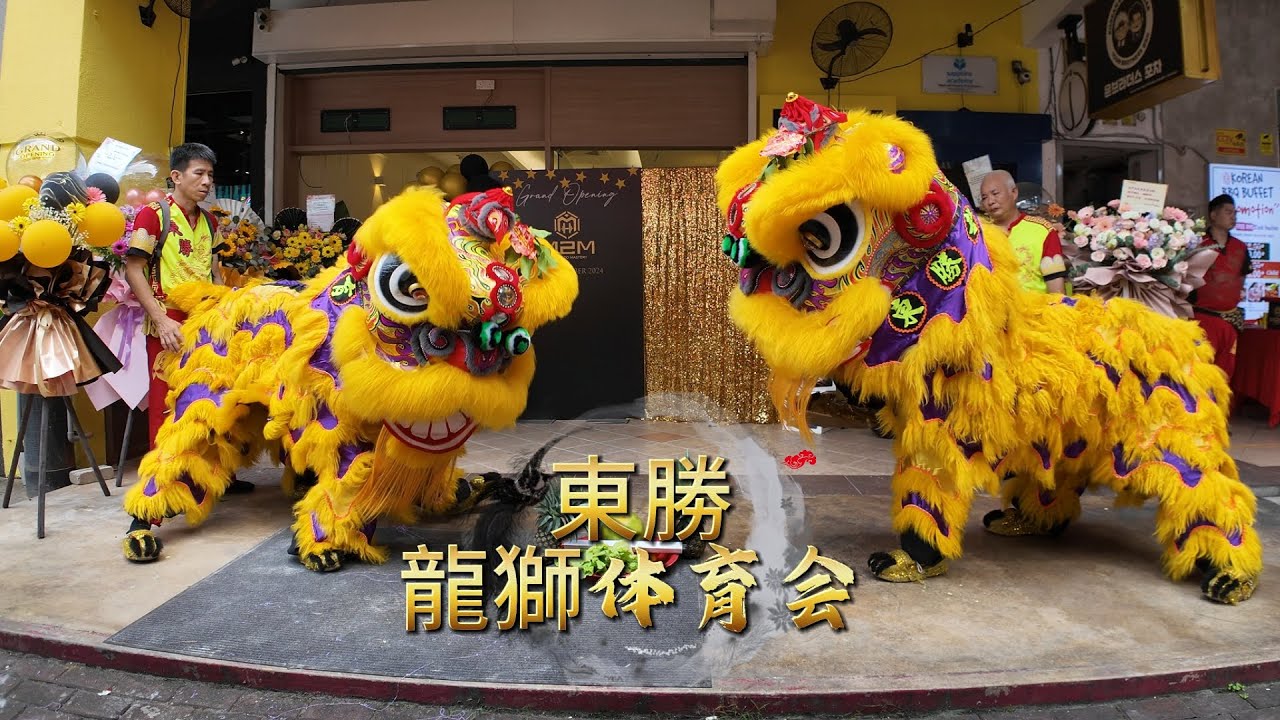 Lion Dance By 吉隆坡東勝龍獅体育会 | Solaris Mont Kiara
