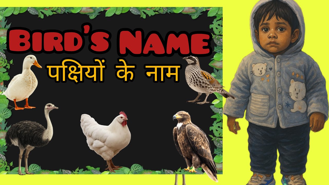 Birds Name| पक्षियों के नाम । Vedanth ki Paathshaala |#birds #birdsnames #trending #forkids #forbaby