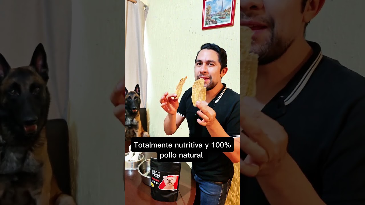 Los huesos de carnaza ponen en riesgo la vida de tu perro 😱 te doy 3 mejores alternativas #pitbull