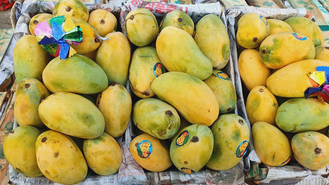 Pakistani Mango one of the best mango in world | Premium export Quality mango | fruit mandi update |