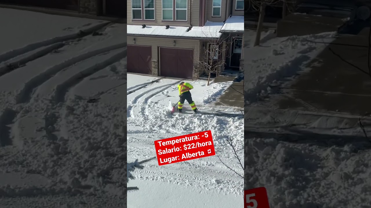Limpiando nieve en Canad&aacute; , Enero 22, 2023 🇨🇦