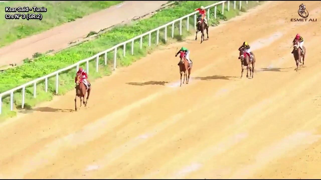 PRIX ABDESSALEM NOURI (GR.2) 2026 Vainqueur Rihet El Bibane.