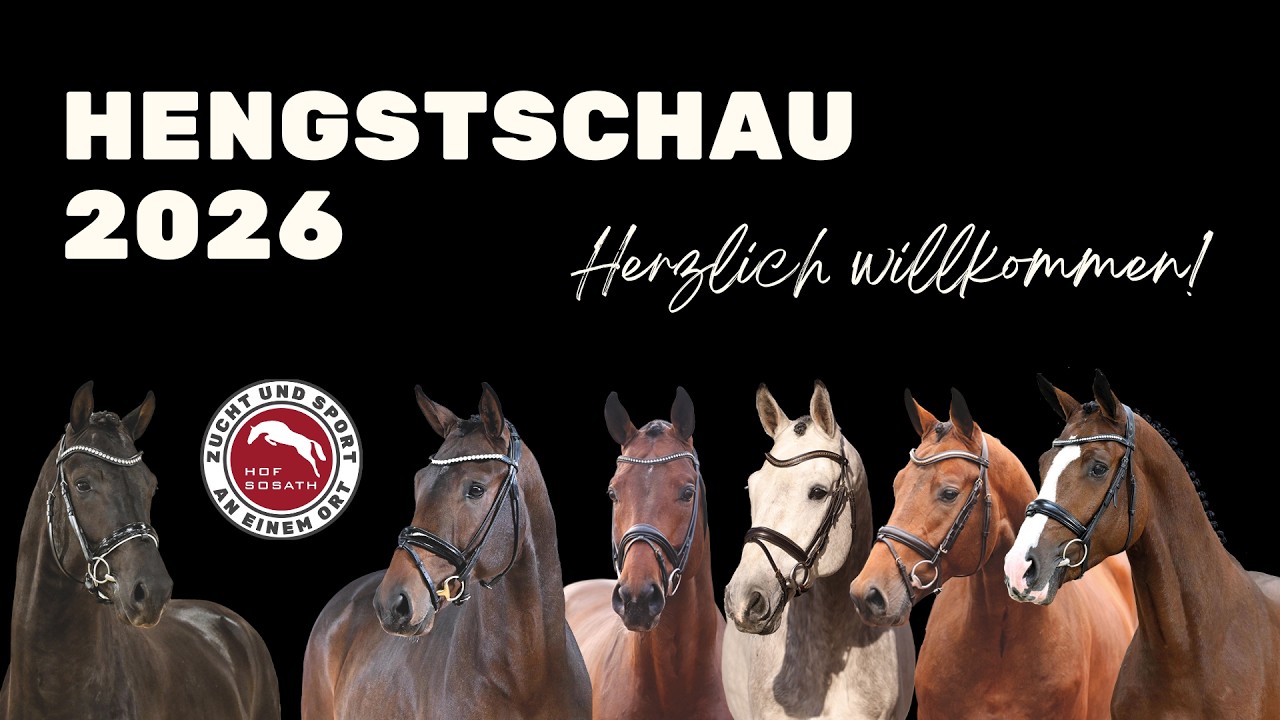 Hengstschau 2026