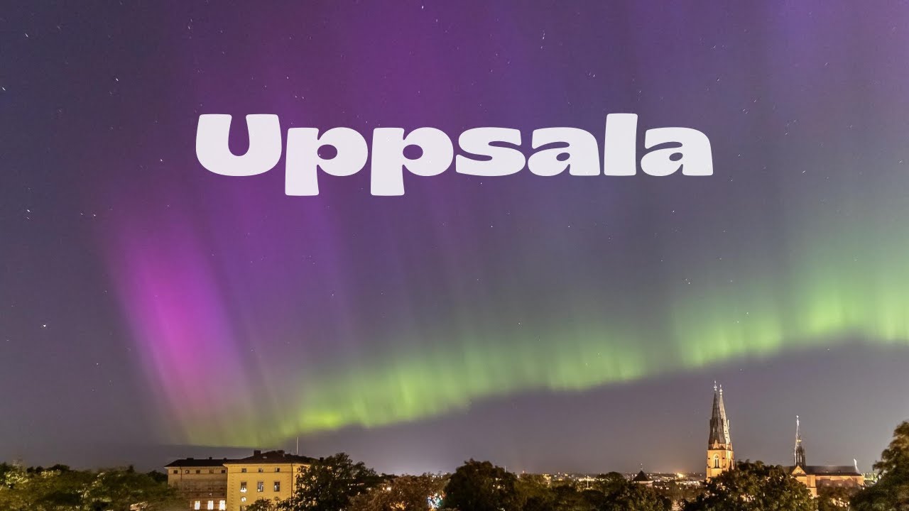 What It’s Like to Study Abroad in Uppsala (Sweden) 🇸🇪