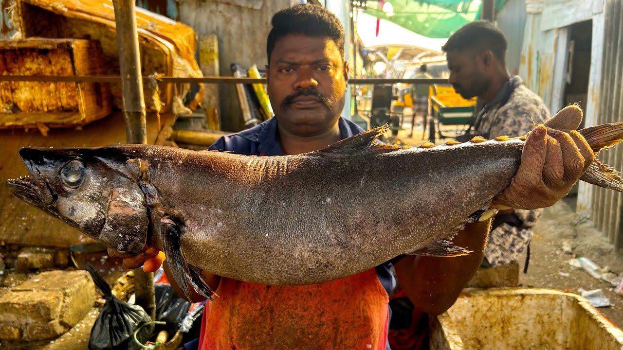KASIMEDU 🔥 SPEED SELVAM | KATTU MAVULASI FISH 🐟 MASS CUTTING SKILLS | N M FISH CUTTING 🔪