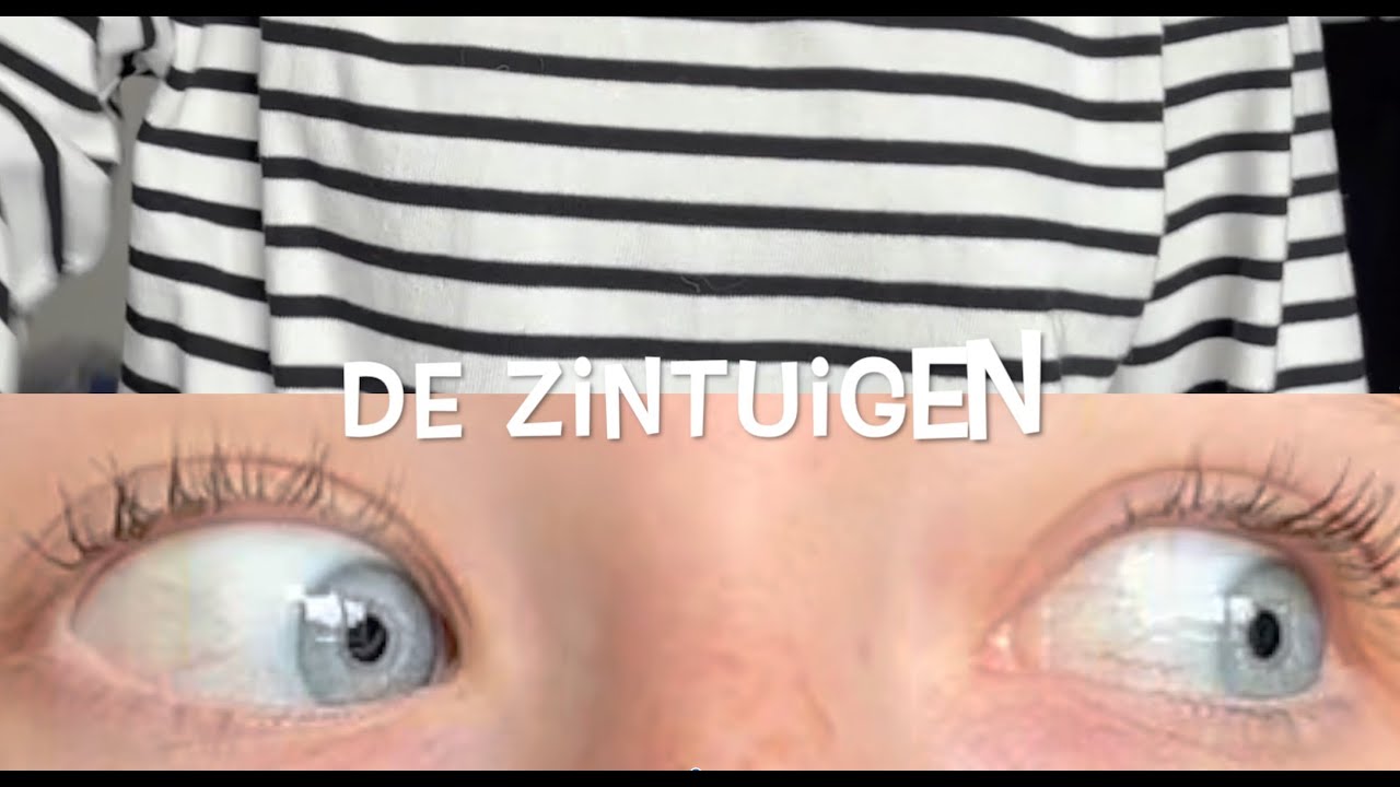 Zintuigen liedje: de vijf zintuigen