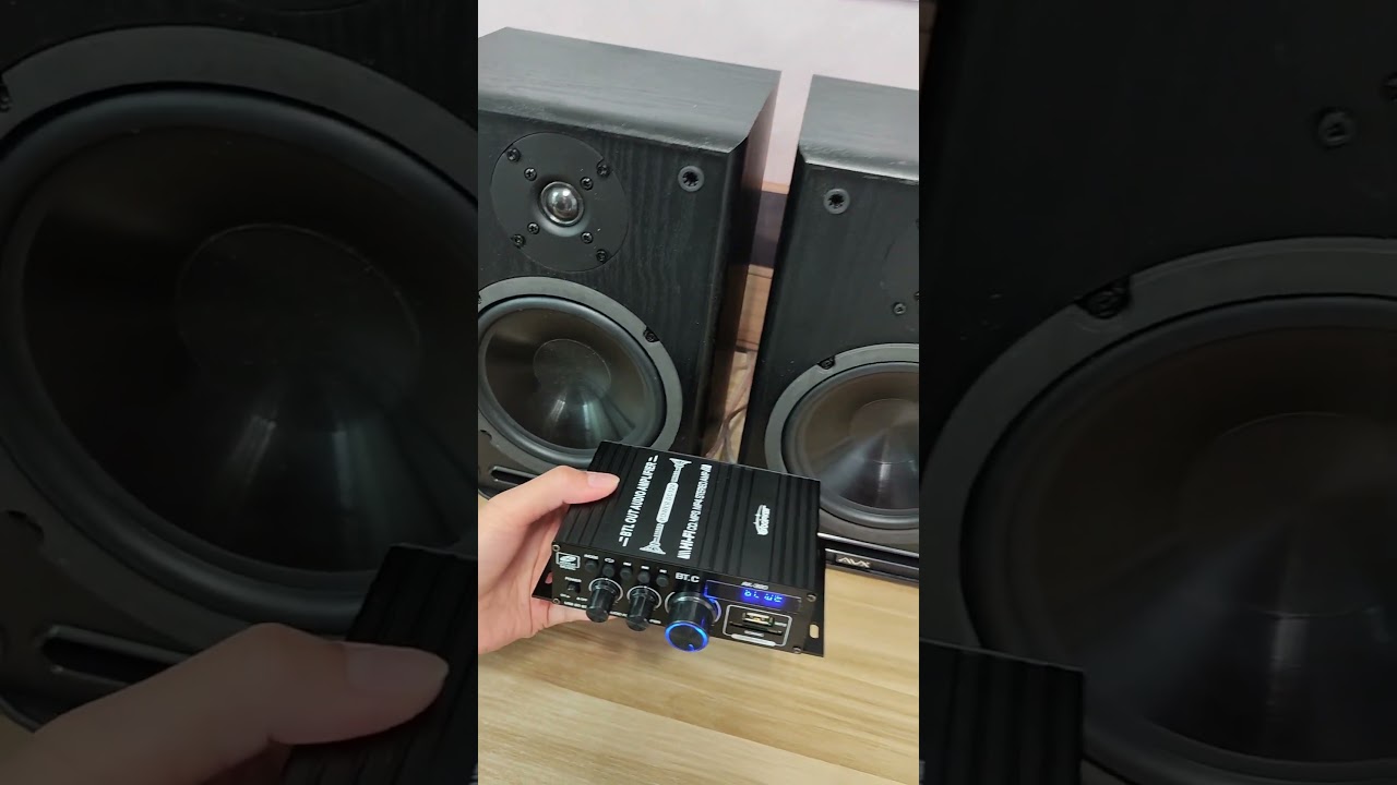 🔥Ultra Bass Test Subwoofer with BT Amplifier💣#woopker #ak380 #dj #shorts #audio #bassboosted #hifi