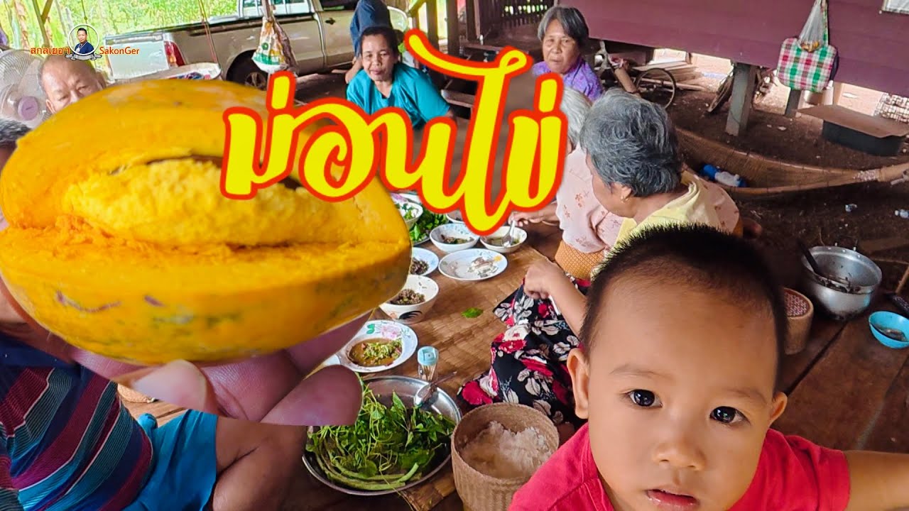 ม่อนไข่ ผลไม้ ถิ่นกําเนิดจากแดนไกล กินข้าวกับพี่น้อง แซ่บ ๆ 😋