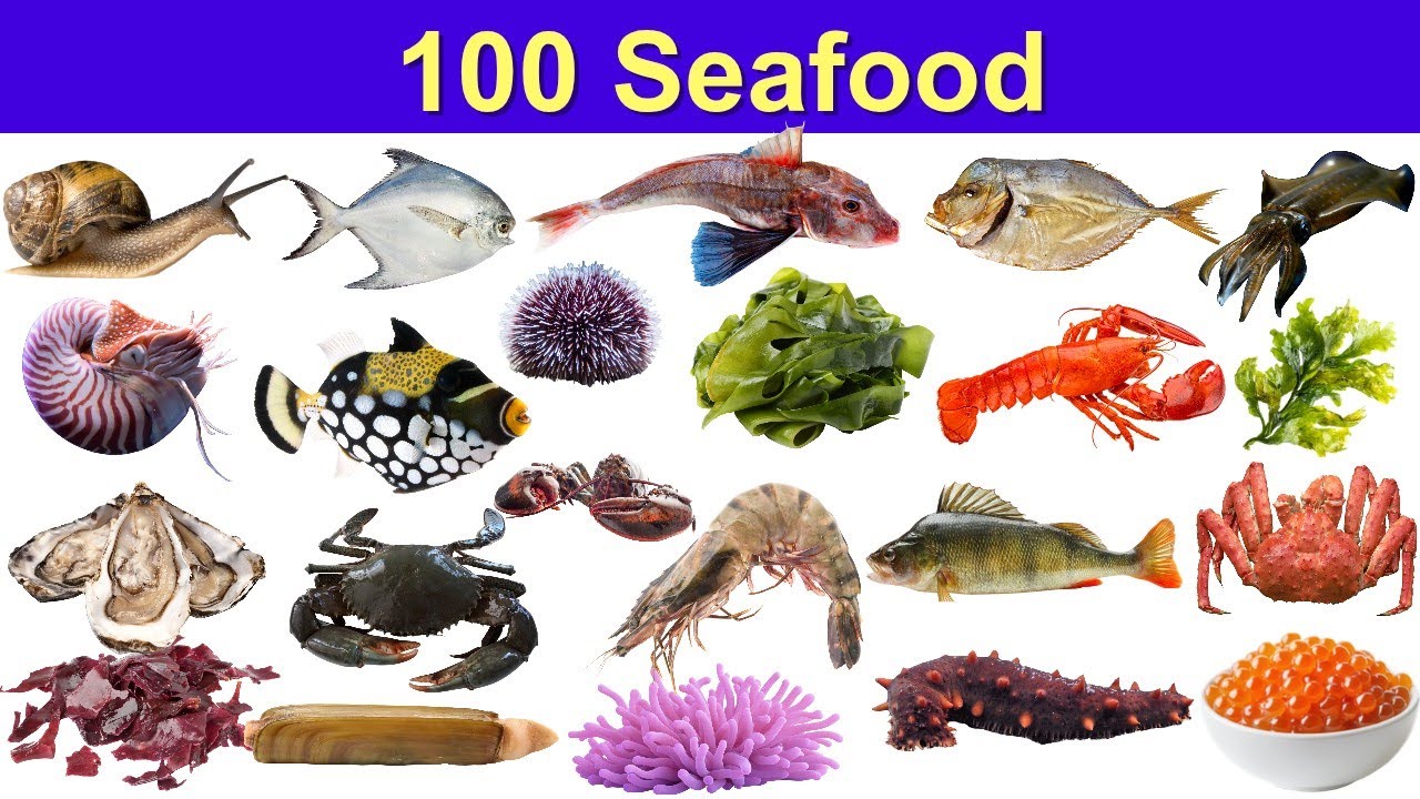 100 названий морепродуктов | Названия морепродуктов от рыбы до водорослей на любой вкус