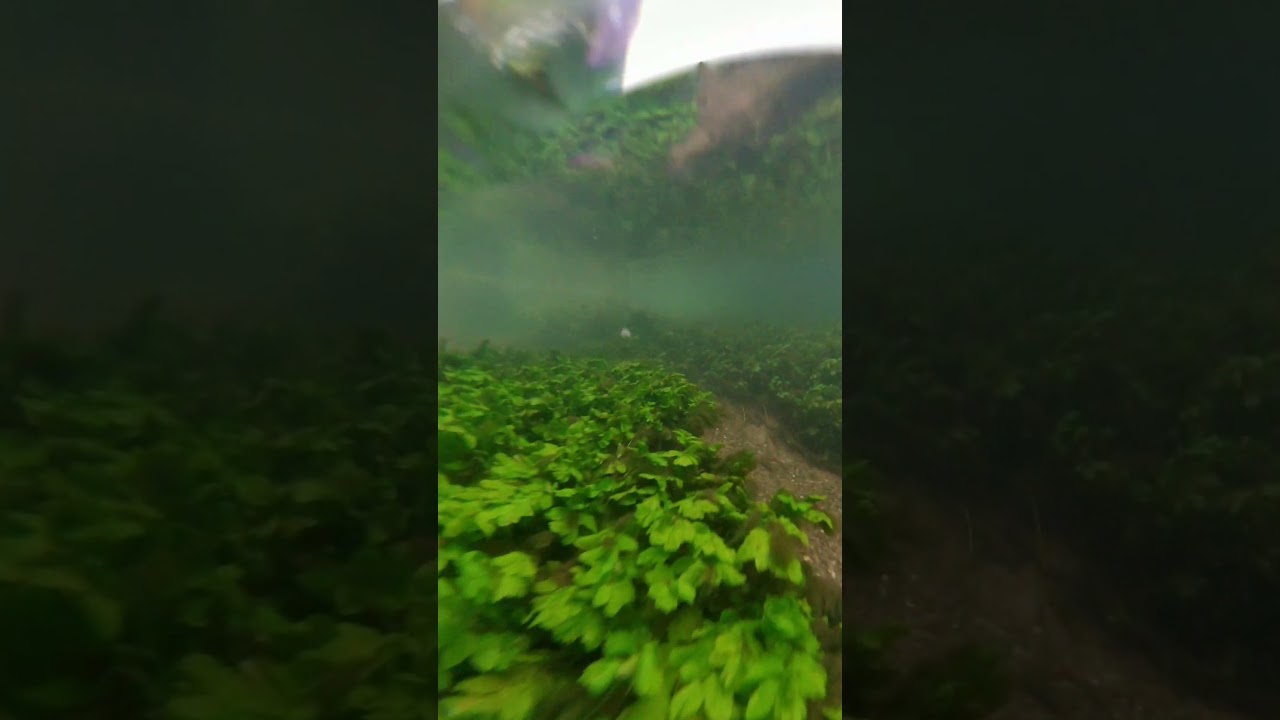 Flussbett unter Wasser